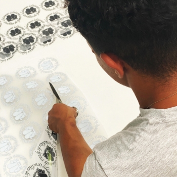 XAVIER & Cie - Transfers